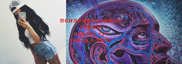 прущая мука Баксан