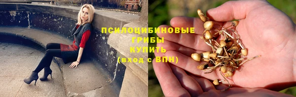 твердый Балахна