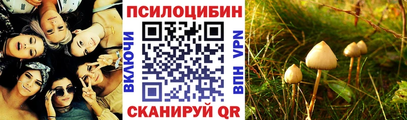 Псилоцибиновые грибы ЛСД  darknet официальный сайт  Городище 